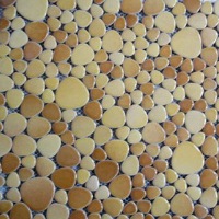 Mosaic: Ceramic-Pebble Mosaic